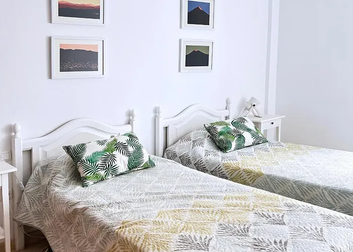 Luna De Lobos: Bright And Cozy Apartment In Bristol